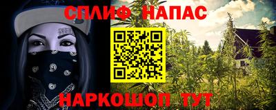 спайс Дубна