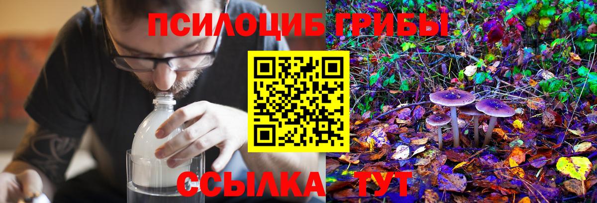 Галлюциногенные грибы Psilocybe  Вход с VPN  Москва 